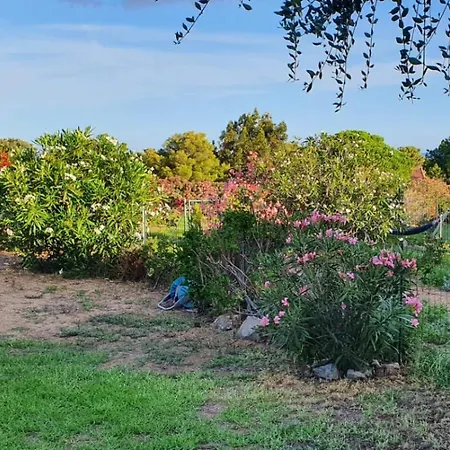 T3 Boug 15 Apartment Lumio (Corsica)