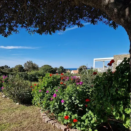 T3 Boug 15 Lumio (Corsica)